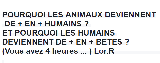 creation animaux ok.png