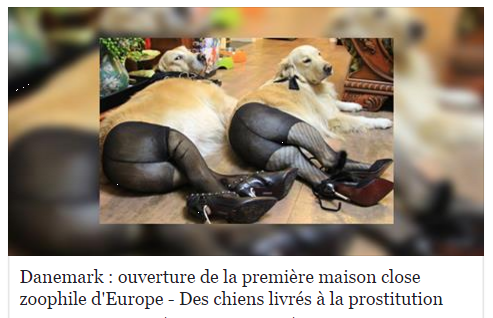 pedo prostitution chien.png