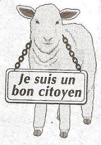mouton vote 3.jpg
