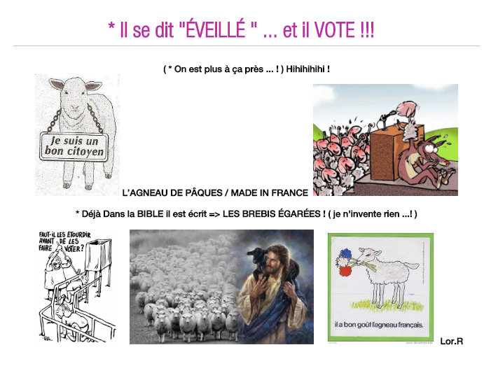 creation mouton vote eveil.png