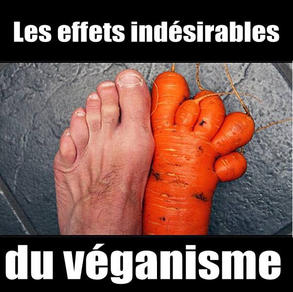 vegan 3 .jpg