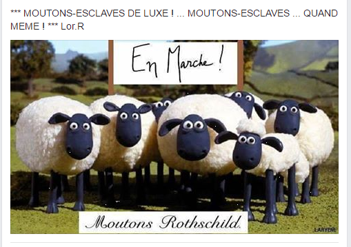 mouton luxe 2.png