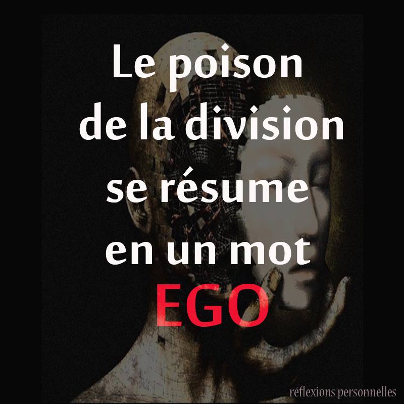 ego 8.jpg