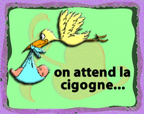 cigog.jpg