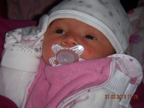 DSCN2646.JPG