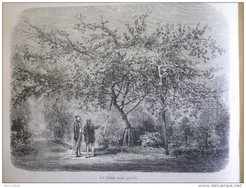 gravure de Molet 1878.jpg