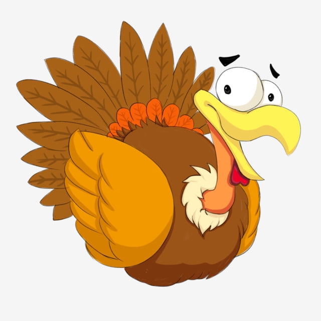 pngtree-turkey-cartoon-turkey-chicken-poultry-png-image_442901.jpg
