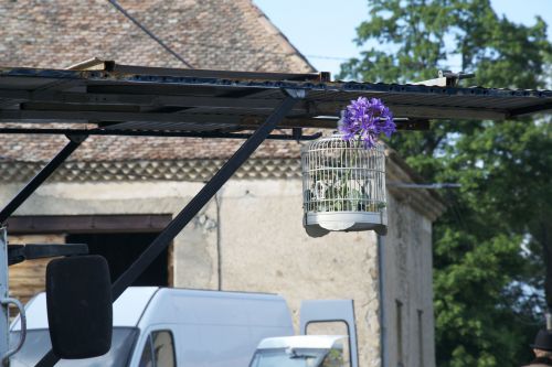 sans oublier la cage à oiseaux