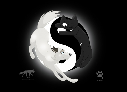 Ying_yang_by_wolfsbane_drawer.jpg