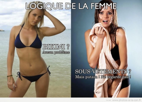 image-drole-bikini.jpg