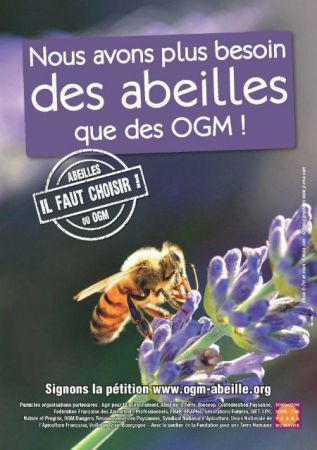 Des-abeilles-et-pas-d-ogm_m.jpg