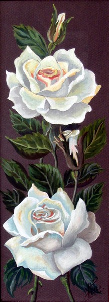 roses blanches.jpg