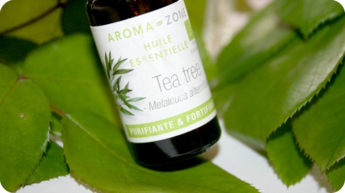 huile-essentiel-tea-tree-aroma-zone-3.jpg