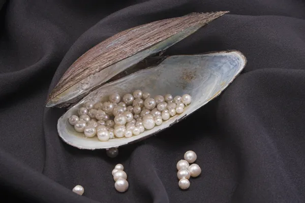 depositphotos_1700035-stock-photo-pearls