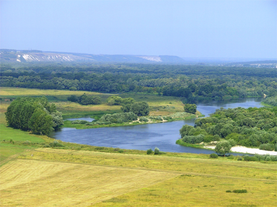 Don_(Voronezh_Oblast)