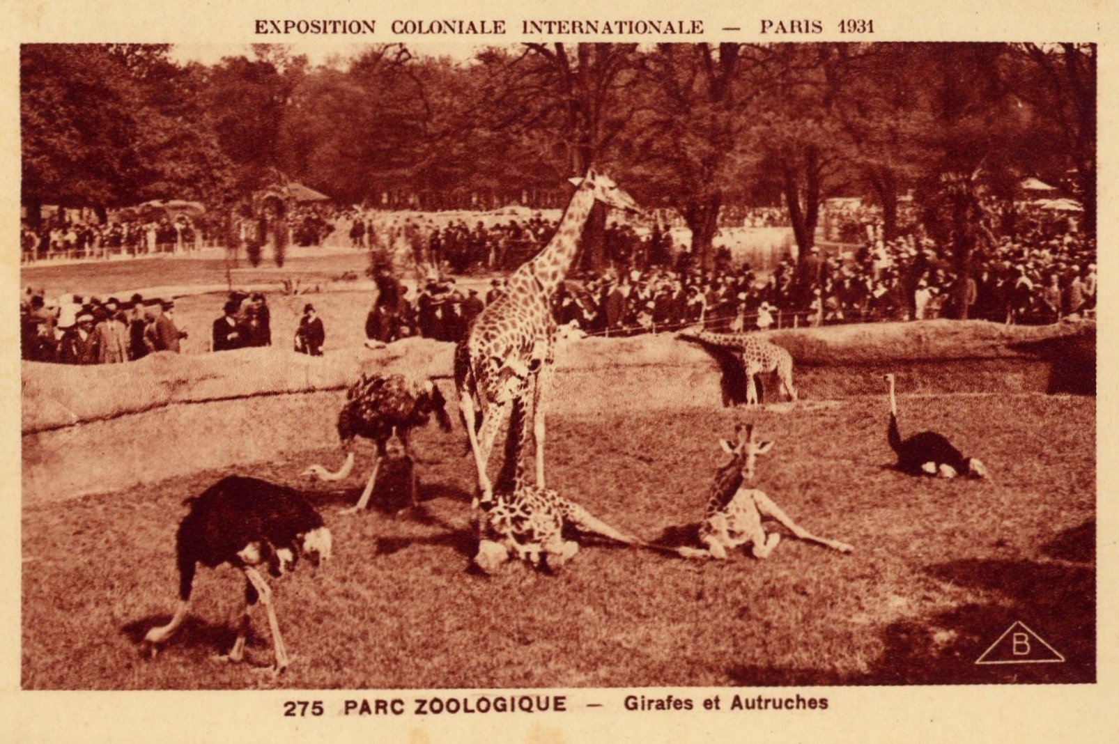 Expo_1931_Zoo1