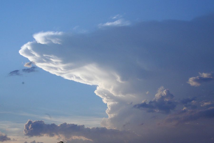 Magnifique enclume de cumulonimbus ( 29 août 2012)