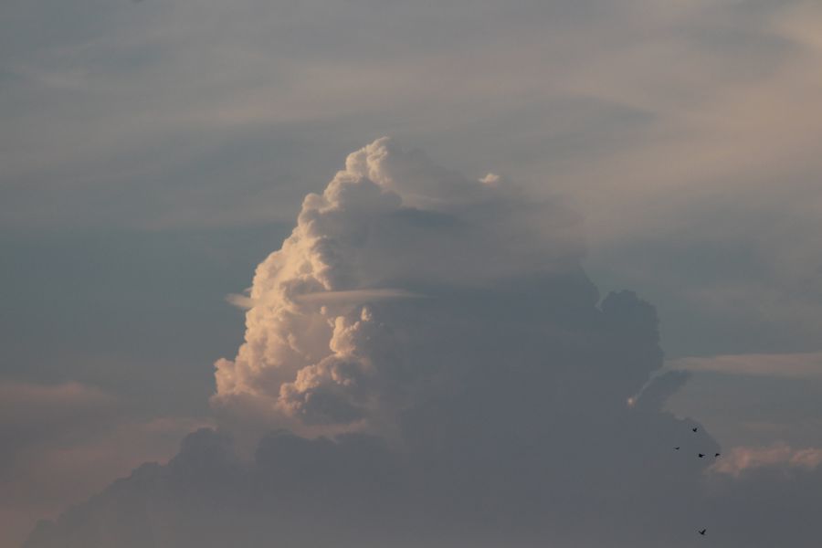 Cumulonimbus en pleine croissance (5 août 2013)