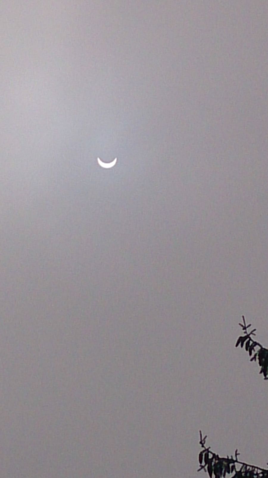 Maximum de l'éclipse (photo prise vers 10h30)