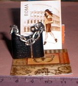 sac1 2010.jpg