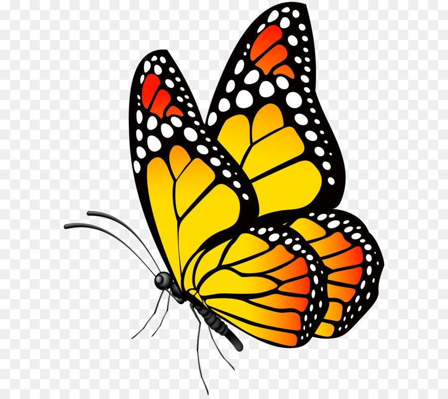 butterfly-yellow-png-clip-art-image-5a1c65a9a59ec6.9695403615118104736784.jpg
