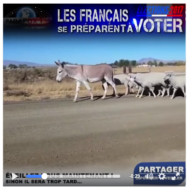vote mouton.png
