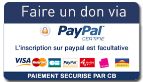 don paypal 4.png