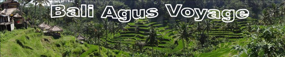 Bali Agus Voyage