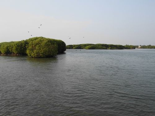 14 fev- visite en bateau Negombo (3).JPG