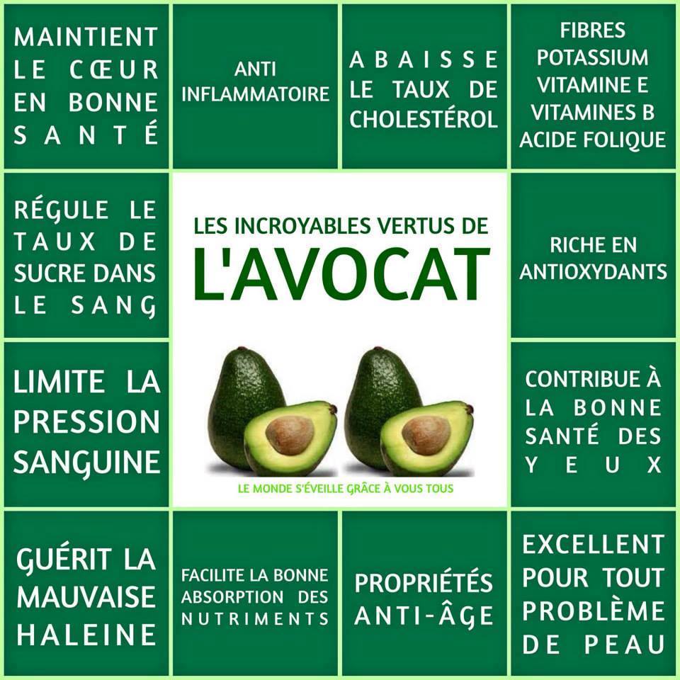 avocat.jpg