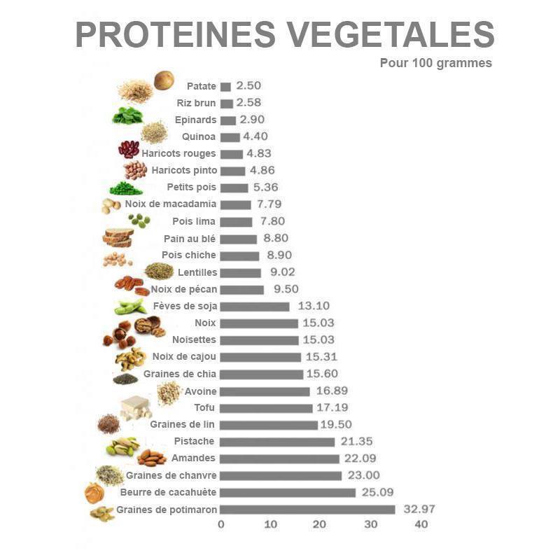 proteines.jpg
