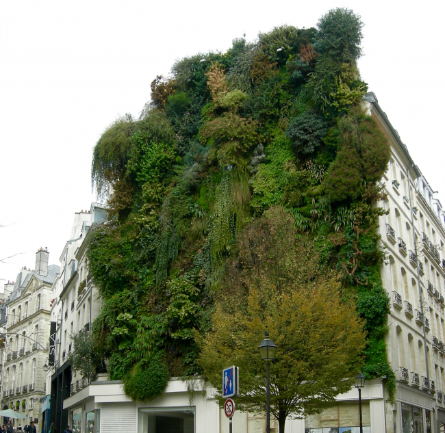 PARIS 2ème - L'OASIS D'ABOUKIR, RUE DES PETITS CARREAUX