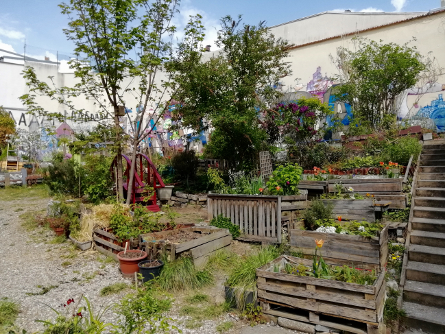 PARIS 20ème -JARDIN PARTAGÉ DE LA CITÉ AUBRY