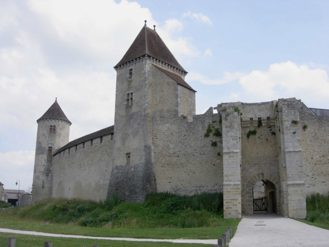 Château fort de BLANDY LES TOURS