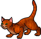 Firestar_apprentice.png