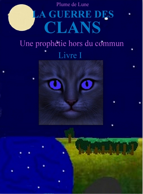 1ère de couverture pour Plume de Lune.jpg