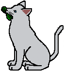 Jayfeather_mc.png