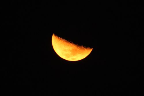 AprÃ¨s le soleil, la Lune vue de la terrasse de la maison....