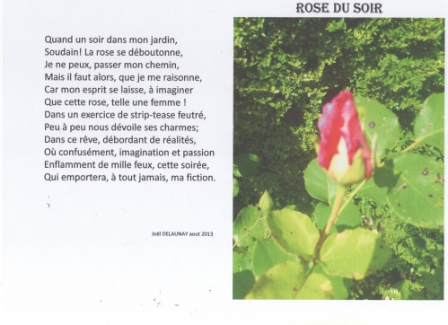 ROSE DU SOIR 001.jpg