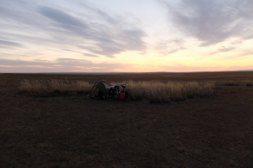 on se camoufle dans la steppe.jpg