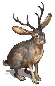 Jackalope.jpg