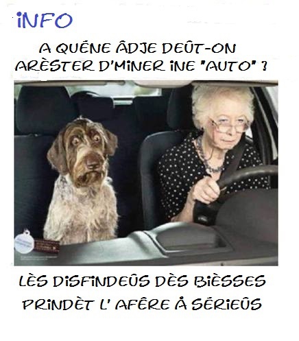 blagues-choses-marrantes-pauvre-chien-img.jpg