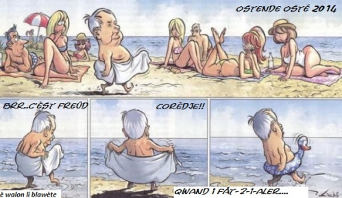 enorme-canard-plage-dessin-humour.jpg