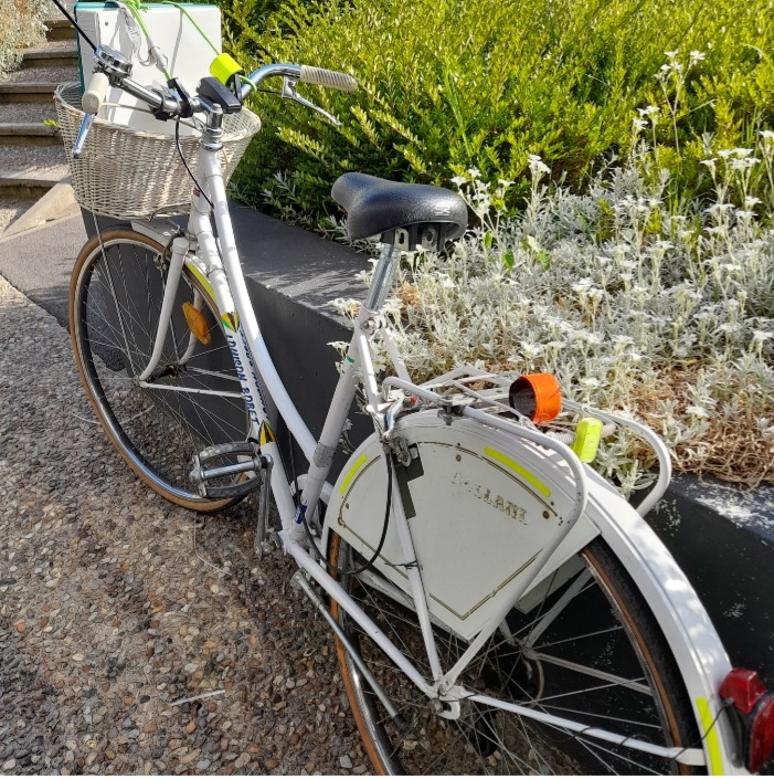 Bobette au boulot, devant le local vélo, attendant que je l'enfourche.