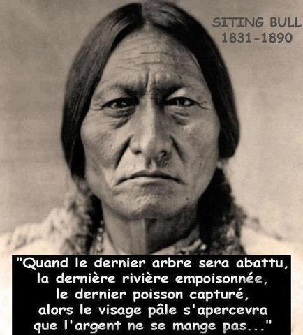 Citation De Sitting Bull Eleutheria