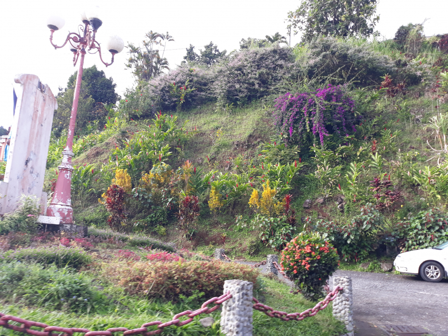 martinique