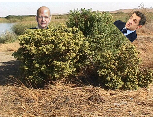 Buisson.jpg