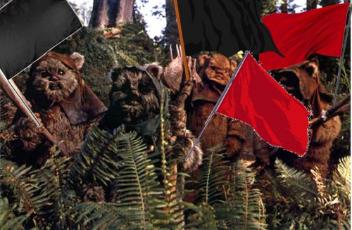 Ewoks Flag 3.jpg