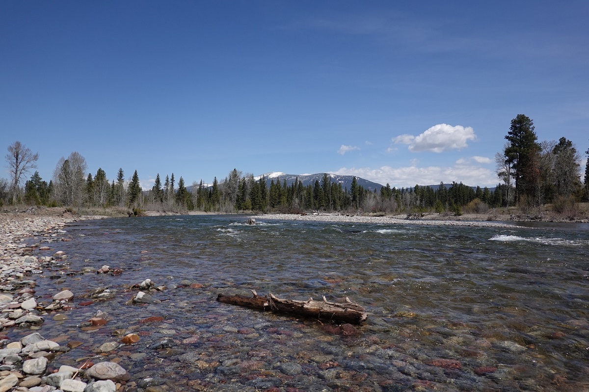 Blackfoot-River.jpg