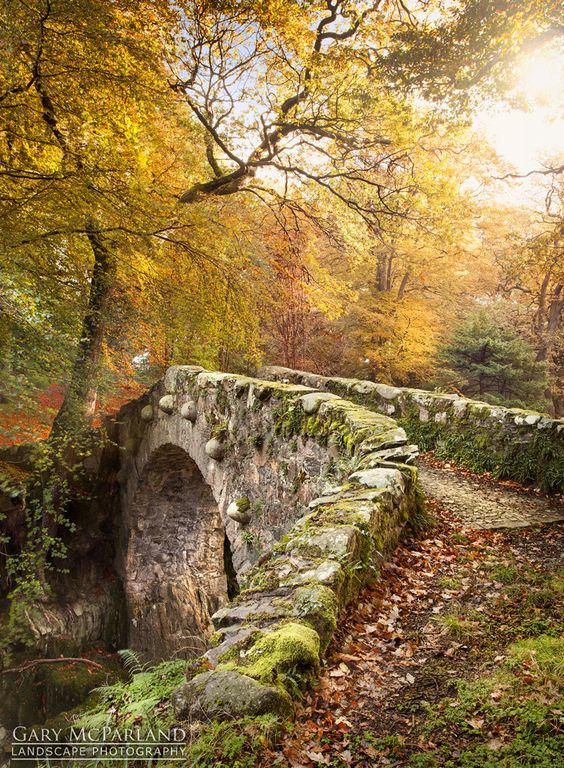 Pont dans paysage d'automne.jpg